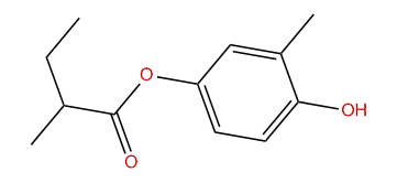 4-Hydroxy-3-methylphenyl 2-methylbutanoate